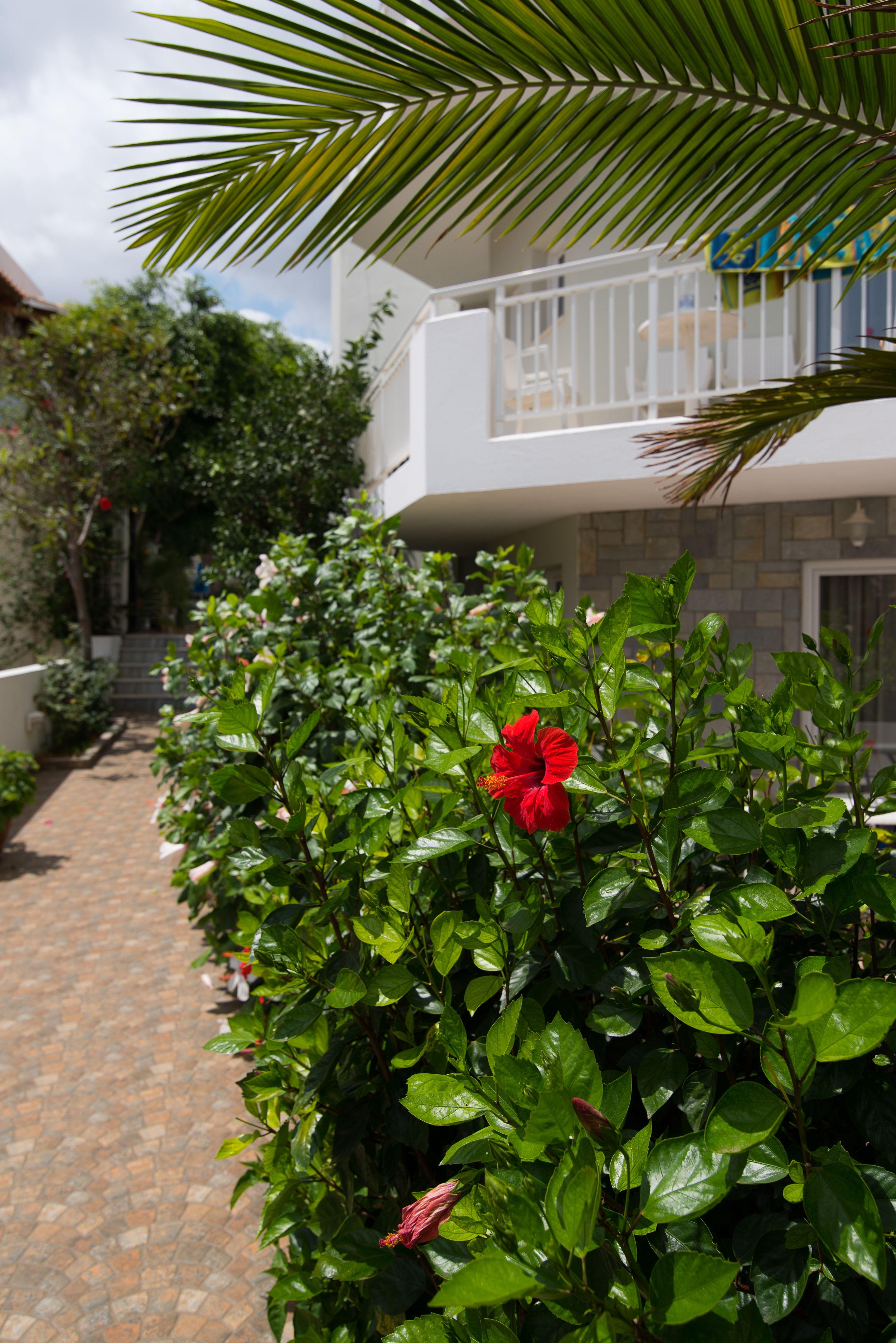 Melissa Apartments, Studios & Suites Malia  Luaran gambar